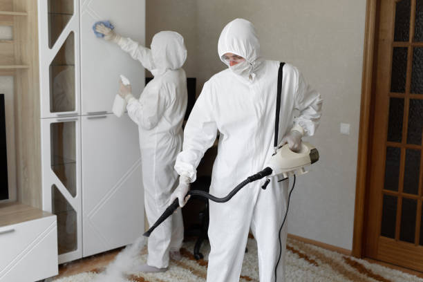 24/7 Emergency Odor Removal experts in Coalinga, CA